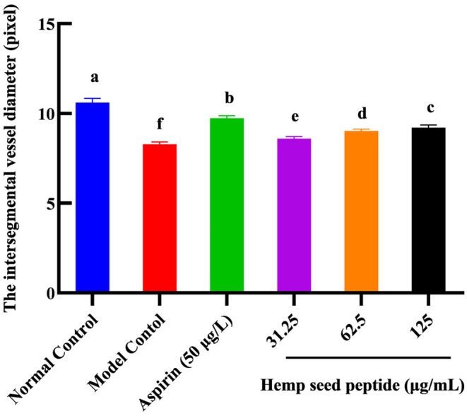 Comparison of intersegmental vessel diameter of fli1‐EGFP zebrafish in each group. Different letters indicate p < 0.05.