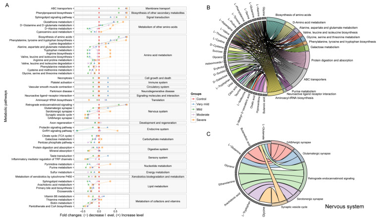 Graph showing the enrichment analysis results. (A) Comparing the metabolic pathways in the serum metabolome associated with different disease stages of AD. The predicted metabolic activity was illustrated using log2 fold changes. The red circles represent the control group, while other symbols represent changes in metabolic pathway activity compared to the control group at different disease stages. Only the metabolic pathways with a significant p-value (p < 0.05) and q-value (FDR: q < 0.05) are plotted. (B) A chord plot displays how the differential metabolites participate in different significant metabolic pathways. (C) A chord plot displays how metabolites involved in the nervous system link to metabolic pathways. Different colors represent different pathways.