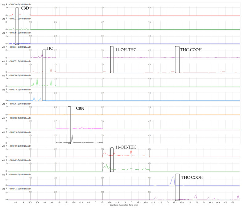 Chromatogram of a blank sample.