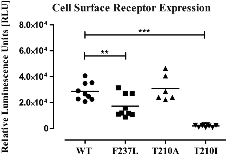 WT and mutant CB1 relative expression on the surface of HEK293T cells. Cells expressing GLuc-FLAG-CB1WT (WT), GLuc-FLAG-CB1F237L (F237L), GLuc-FLAG-CB1T210I (T210A) and GLuc-FLAG-CB1T210A (T210I) are shown, in order to generate a read-out, coelenterazine was added to the cells after medium was washed away. Similar expression levels can be observed for CB1T210A and the CB1WT, showing that this mutation does not affect the expression of the receptor, however, mutations CB1F237L and CB1T210I reduced the expression at the surface of HEK293T cells, as compared to the CB1WT.