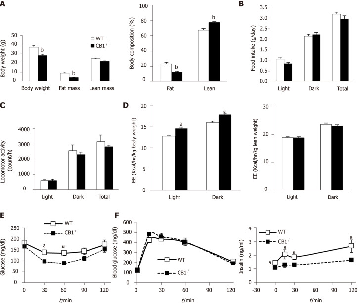 Cannabinoid type 1 receptor-null mice have reduced adiposity and improved insulin sensitivity. Wild-type (WT) and cannabinoid type 1 receptor-null (CB1-/-) male mice at 4 mo of age. A: Body weight and body composition; B: Daily food intake; C: Locomotor activity; D: Energy expenditure adjusted by body weight or lean mass; E: Insulin tolerance tests; F: Glucose tolerance tests at 5 mo of age. n = 5-7. aP < 0.05, bP < 0.001, WT vs CB1-/-.