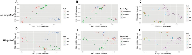 PCoA plots of microbial community similarity in pooled experiments for unweighted analysis (A–C) and weighted analysis (D–F).Plots for unweighted analysis are based on unweighted UniFrac distance, and demonstrate relationship between soil type (A), sample type (B), strain (C), and the major PC axes (PC 1 = 13.27% variance, PC 2 = 10.15% variance, PC 3 = 6.15% variance). Plots for weighted analysis are based on weighted UniFrac distances, and demonstrate relationship between soil type (D) sample type (E), strain (F), and the major PC axes (PC 1 = 37.69% variance, PC 2 = 13.95% variance, PC 3 = 11.07% variance). Abbreviations for strains are denoted by B (Burmese), BK (BooKoo Kush), D (Sour Diesel), MW (Mauie Wowie) and WW (White Widow). Abbreviations for soil type are denoted by MB1 (Mo-Bio soil from the first experiment), MB2 (Mo-Bio soil from the second experiment) and OC (Orange County soil).