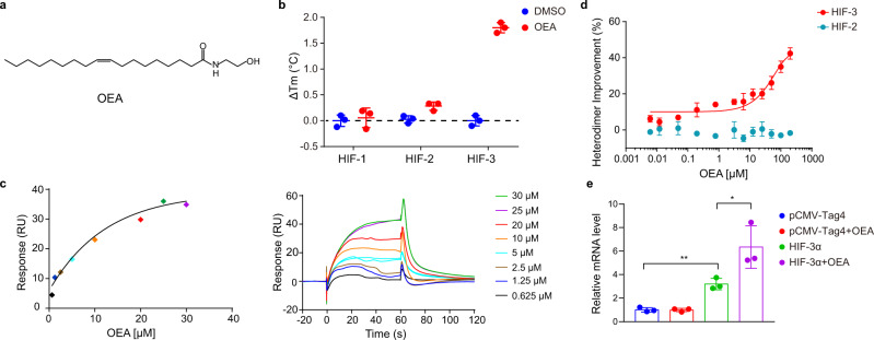 Agonistic effects of OEA on the HIF-3α-ARNT heterodimer.a Chemical structure of OEA. b Protein thermal shift assays measuring the change in melting temperatures (ΔTm) of HIF-1α-ARNT, HIF-2α-ARNT and HIF-3α-ARNT (i.e., HIF-1, HIF-2 and HIF-3) complex proteins in the presence of 20 μM OEA. c Binding of OEA to the HIF-3α PAS-B domain (KD about 14.0 μM) as measured by SPR. d Effects of OEA on the heterodimerization of HIF-3α-ARNT and HIF-2α-ARNT, detected by TR-FRET. e The effects of HIF-3α overexpression and 25 μM OEA treatment on the expression of HSPA6 in HEK293 cells. **p = 0.0019 for pCMV-Tag4 vs. HIF-3α, *p = 0.0437 for HIF-3α vs. HIF-3α + OEA. Error bars, mean ± SD.; n = 3 (biological replicates) for (d,e). Statistical significance: *p < 0.05, **p < 0.01 (Unpaired two-tailed t test).