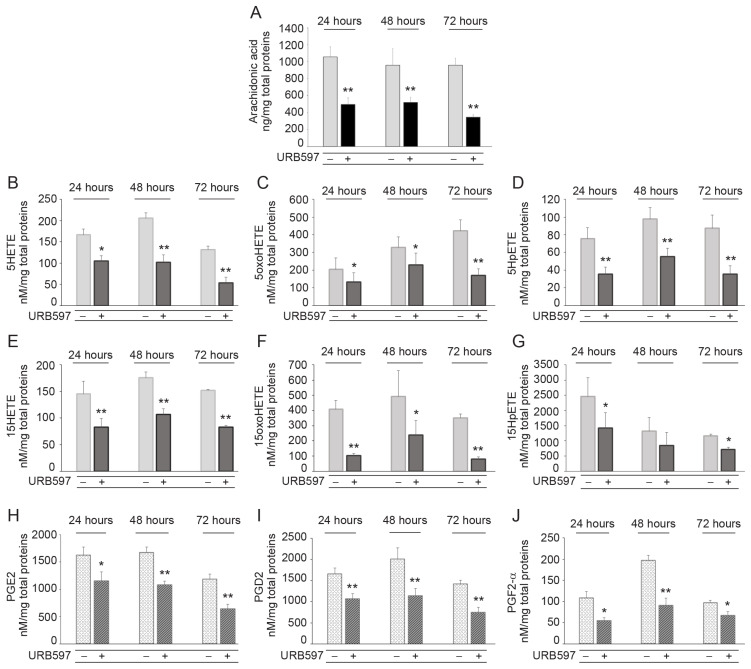 URB597 modifies the composition of pro-tumorigenic lipid species in A431 cells. Quantification via LC-MS/MS of intracellular production of arachidonic acid AA (A), 5HETE (B), 5oxoHETE (C), 5HpETE (D), 15HETE (E), 15oxoHETE (F), and 15HpETE (G) in A431 cells at different time points of incubation with URB597 (1 μM). Intracellular amount of PGE2 (H), PGD2 (I), and PGF2-alpha (J) in A431 cells following the treatment with URB597 at the indicated time points. Lipid amount is measured as nM/mg total proteins and the results are expressed as mean value ± SD. * p < 0.05 vs. vehicle-treated cells; ** p < 0.01 vs. vehicle-treated cells.