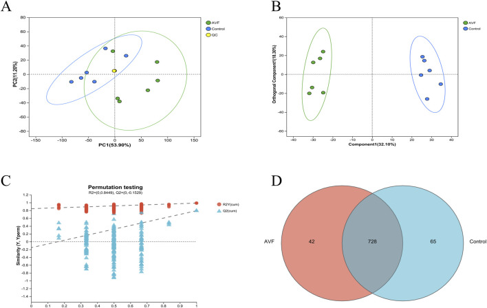 Panel A shows a PCA plot with two clusters: AVF (green) and Control (blue), with QC samples marked in yellow. Panel B is an orthogonal component plot showing similar group separations. Panel C presents permutation testing with R2Y and Q2 values. Panel D is a Venn diagram indicating 42 unique features in AVF, 65 in Control, and 728 common features.