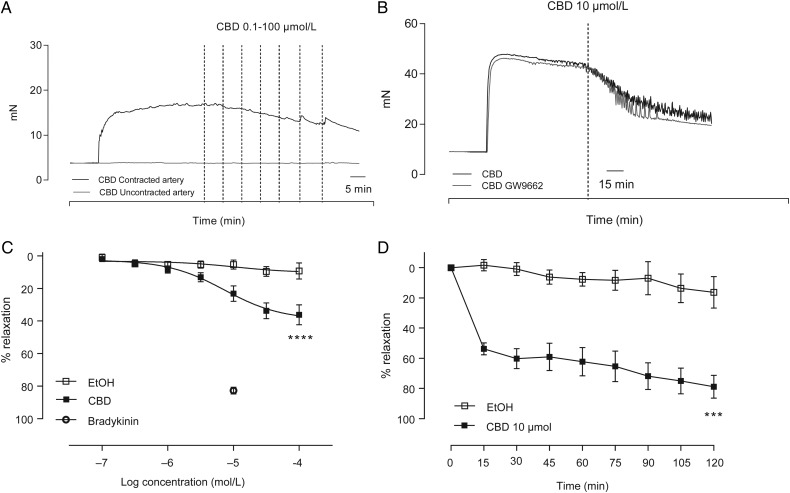 CBD relaxes human mesenteric arteries. Typical trace data showing the acute (A) and time-dependent (B) vasorelaxant effects of CBD (also in the presence of the PPARgamma antagonist GW9662) in the human mesenteric artery. (C) Mean (± SEM, n = 12) concentration-response curves to CBD compared with vehicle controls carried out in adjacent segments of mesenteric artery from the same patient. The vasorelaxant response to 10 µmol/L bradykinin in the same patients is shown for comparison. (D) Mean time-dependent vasorelaxant response to a single concentration of CBD (10 µmol/L) compared with vehicle controls carried out in adjacent segments of mesenteric artery (n = 6). Rmax and EC50 values were compared by paired Students t-test, *P < 0.05, ****P < 0.0001.
