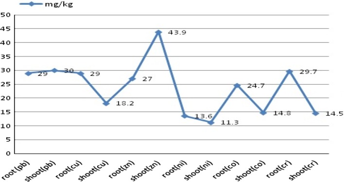 Graphical representation of accumulation of toxic heavy metals by Cannabis sativa (Malik et al. 2010)