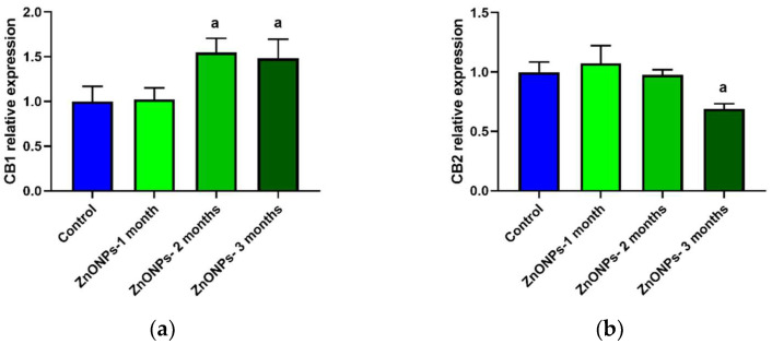 Effect of ZnONPs on the CB1 and CB2 receptors expression in the aorta wall. (a) CB1 expression, (b) CB2 expression. Blue bars correspond to the control non-treated group, green bars correspond to the ZnONPs treated-groups at different times; (a) there is a significant difference compared to the control group with p < 0.05.