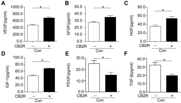 CB2 agonist enhanced the production of paracrine growth factors and inhibited profibrotic cytokines in AD-MSCs(A-F) Paracrine growth factors including VEGF, bFGF, HGF, and IGF-1 as well as profibrotic cytokines including PDGF andTGFβ were examined by respective ELISA kits. *P<0.05 between indicated groups..
