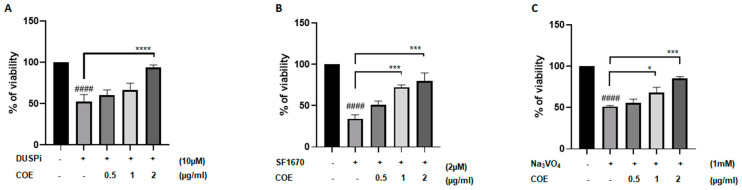 Cannabis oil extract protects podocyte cells from phosphatase inhibitor-induced cytotoxicity. Immortalized rat podocytes were treated with (A) 10 μM DUSPi, (B) 2 μM SF1670, and (C) 1 mM Na3VO4 in the absence or presence of cannabis oil extract (COE) at the indicated concentrations for 24 h. Cell viability was evaluated via Cell Titer 96 Aqueous Non-Radioactive Cell Proliferation Assay. Data are expressed as mean ± SEM (n = 3). Differences between groups were evaluated using one-way ANOVA followed by Bonferroni’s multiple comparison test. #### p < 0.0001 vs. control; * p < 0.05; *** p < 0.001; **** p < 0.0001—significantly different from the DUSPi/SF1670 or Na3VO4-only treated group.