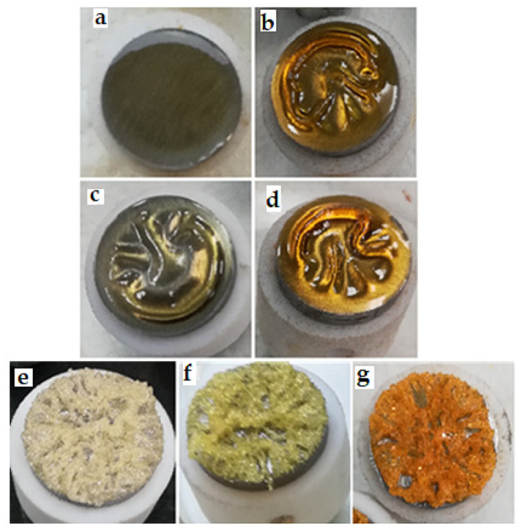The spicemens after incubation at 90 °C temperature: hempseed oil—24 h (a), 240 h (b); linseed oil—24 h (c), 240 h (d); tung tree oil 2 h (e), 24 h (f), 240 h (g).