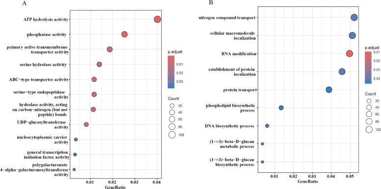 Gene ontology (GO) analysis of genes affected by genomic mutations in Critical Purple Kush (CPK) cultivar. A GO terms related to molecular function; B GO terms related to biological process