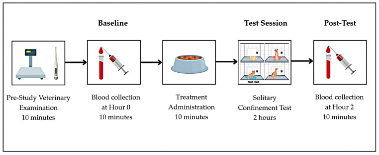 Experimental workflow illustrating test day timeline, including treatment administration, stress induction, and blood sample collections.