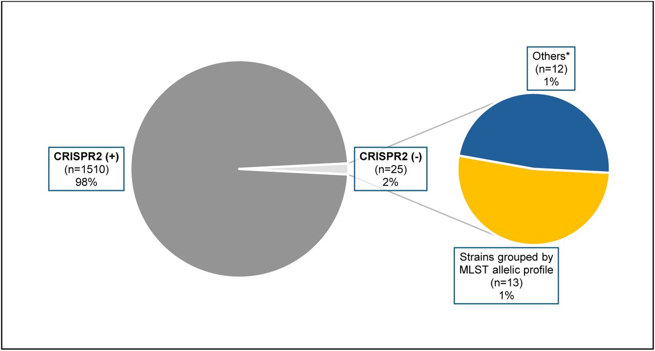 CRISPR2 status in E. faecalis genomic samples.The main pie chart categorizes the total genomes (n=1535) into CRISPR2-positive and CRISPR2-negative. The secondary pie chart further classifies CRISPR2-negative genomes into MLST allelic profile-related strains and others.*The category “Others” includes genomes with no evident close relationship within the group based on MLST allelic profiles; genomes with statistics indicating low-quality sequencing or assembly; and genomes removed from RefSeq due to various inconsistencies.
