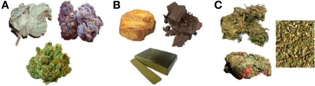 Preparations of cannabis.