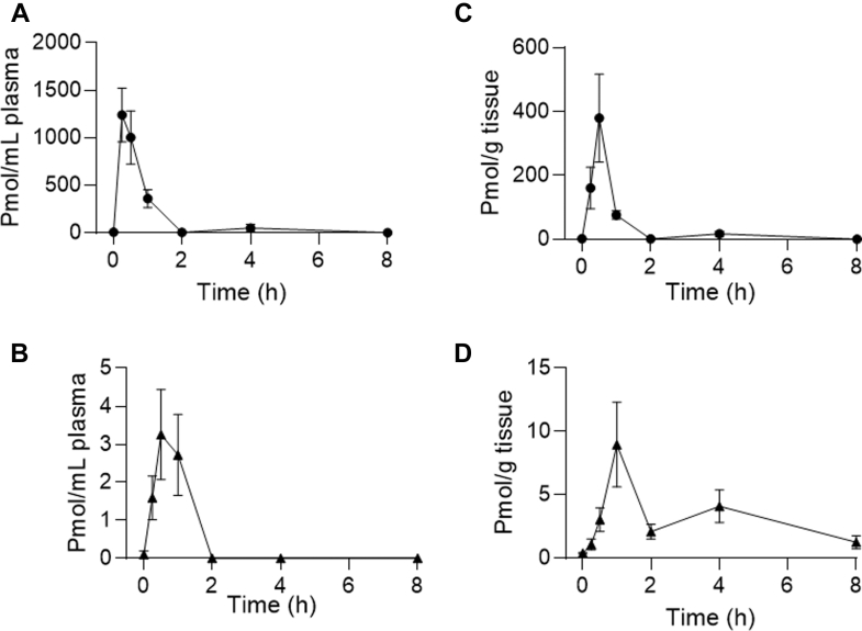 Time course of plasma (A, C) and brain (B, D) concentrations of CBG (black circles) and cyclo-CBG (black triangles) after a single intraperitoneal injection of CBG (10 mg/kg). Data are presented as mean ± SEM, with 3 to 5 animals per time point.