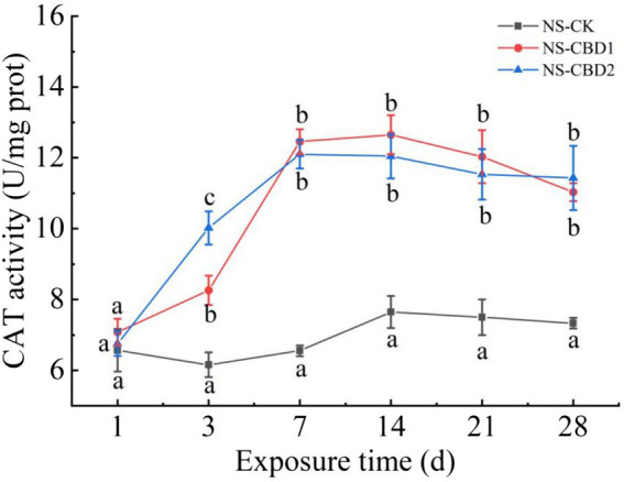 Effects of carbendazim stress on catalase activity of earthworm in the un-manured soil. The different letters above the curves indicate a significant difference (p < 0.05) based on variance analysis. The error bars represent the standard errors of the mean of triplicate samples.