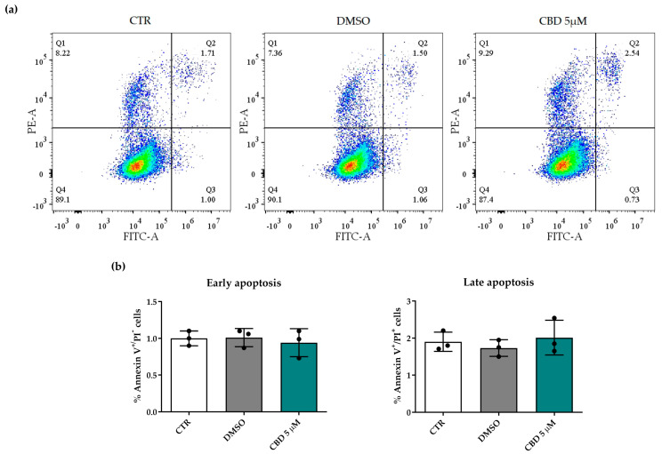 Viability of human adipose-derived stem cells (hASCs) after 72 h of cannabidiol (CBD) treatment. hASC viability was assessed using the annexin V–propidium iodide (PI) staining assay. (a) Representative scatter plots of cytofluorimetric analysis for hASCs untreated (CTR) or treated for 72 h with 0.05% dimethyl sulfoxide (DMSO) (CBD vehicle) or with 5 μM CBD. Quadrants (Q) represent the percentage of necrotic cells (Q1), late apoptotic cells (Q2), early apoptotic cells (Q3) and living cells (Q4). FITC-A and PE-A in the scatter plots refer to cells labeled with FITC-conjugated annexin V and PI, respectively. (b) Histograms represent the mean percentage of annexin V+/PI− (early apoptosis) or annexin V+/PI+ (late apoptosis) cells ± the standard deviation (SD) in CTR, DMSO and CBD samples (n = 3).