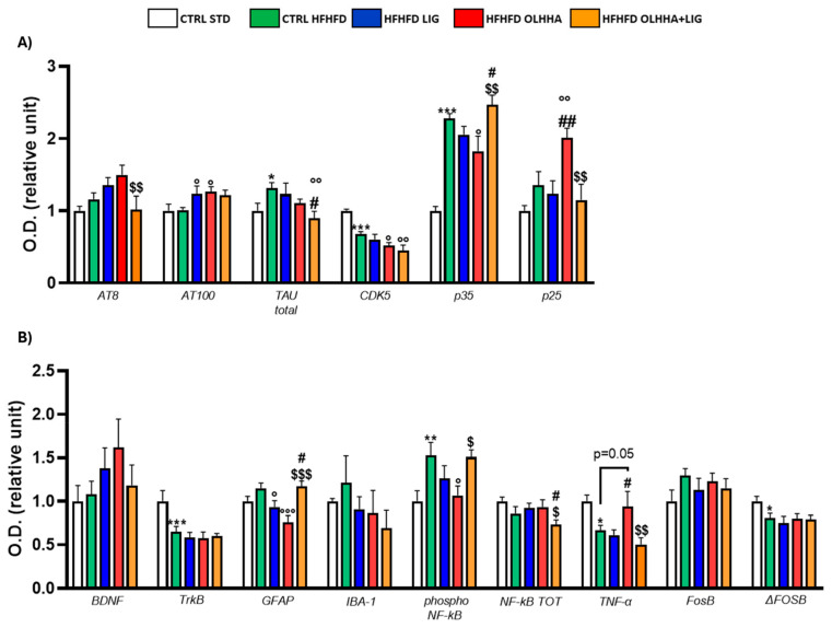 Expression in hippocampus of proteins partaking to (A) tau phosphorylation and (B) neurogenesis, neuroinflammation, and addiction. Data are expressed as mean ± SEM and analyzed by two-way ANOVA (variables: diet, treatment). * p < 0.05, ** p < 0.01, *** p < 0.001 vs. CTRL STD; ° p < 0.05, °° p < 0.01, °°° p < 0.001 vs. CTRL HFHFD; # p < 0.05, ## p < 0.01 vs. HFHFD LIG; $ p < 0.05, $$ p < 0.01, $$$ p < 0.001 vs. HFHFD OLHHA.