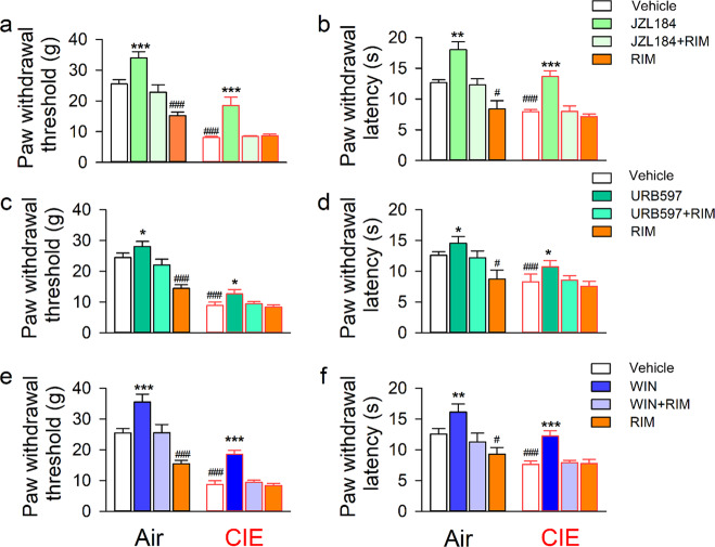 Inhibiting LHb MAGL or FAAH or activating CB1R has an analgesic effect in both CIE and air-exposed rats.Adult male Long-Evans rats underwent CIE or air exposure for 8 weeks. At 24 h abstinence from the last vapor exposure, these rats randomly received bilateral intra-LHb infusion of JZL184 (MAGL inhibitor, n = 13 rats/ group), URB597 (FAAH inhibitor, n = 14 rats/group), or WIN 55,212-2 (CB1R agonist, n = 14 rats/group) alone or combined with rimonabant (RIM, an inverse CB1R agonist) 30 min before the behavioral test. The bar graphs summarize the effect of these compounds on the paw withdrawal threshold (PWT, a, c, and e) or latency (PWL, b, d, and f) in all subjects tested. All data are expressed as mean ± SEM. ###p < 0.001 vs vehicle or Air group; *p < 0.05, **p < 0.01, ***p < 0.001 vs vehicle, JZL + RIM or RIM within each vapor group, revealed by two-way RM ANOVA followed by Bonferroni post-hoc test.