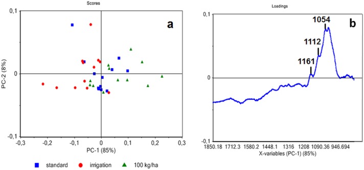 Principal component analysis of ATR spectra of technical fibers showing dispersion with regards to growing conditions (a). Score loading corresponding to PC1 (b).