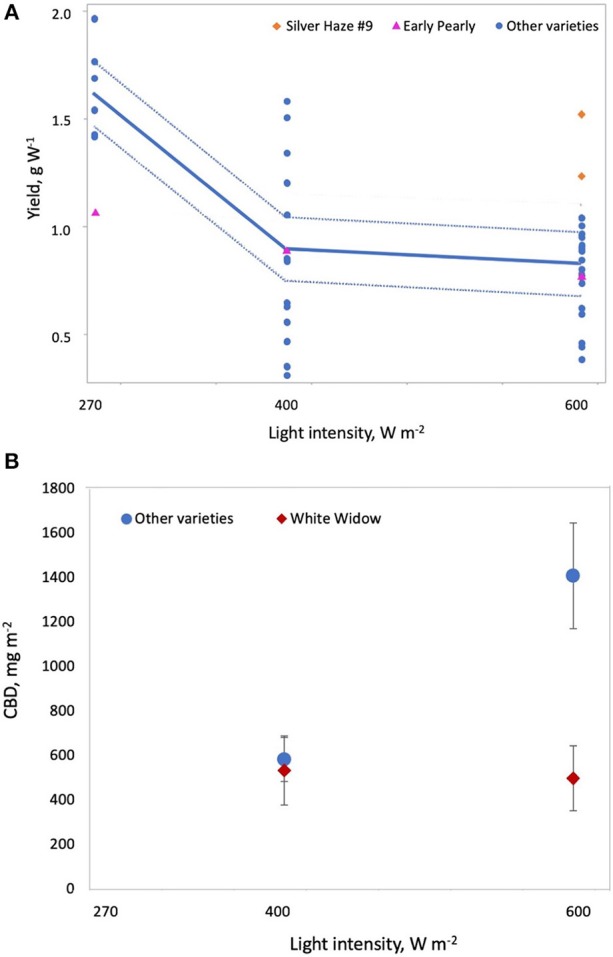 Effect of light intensity on cannabis yield per W and CBD per square meter. (A) Increasing light intensity reduces yield per W and this effect is stronger for most varieties other than Early Pearly and Silver Haze #9, which maintained higher yields at 600 Wm−2. (B) Varieties other than White Widow produced significantly more CBD at 600 Wm−2 compared to 400 Wm−2.