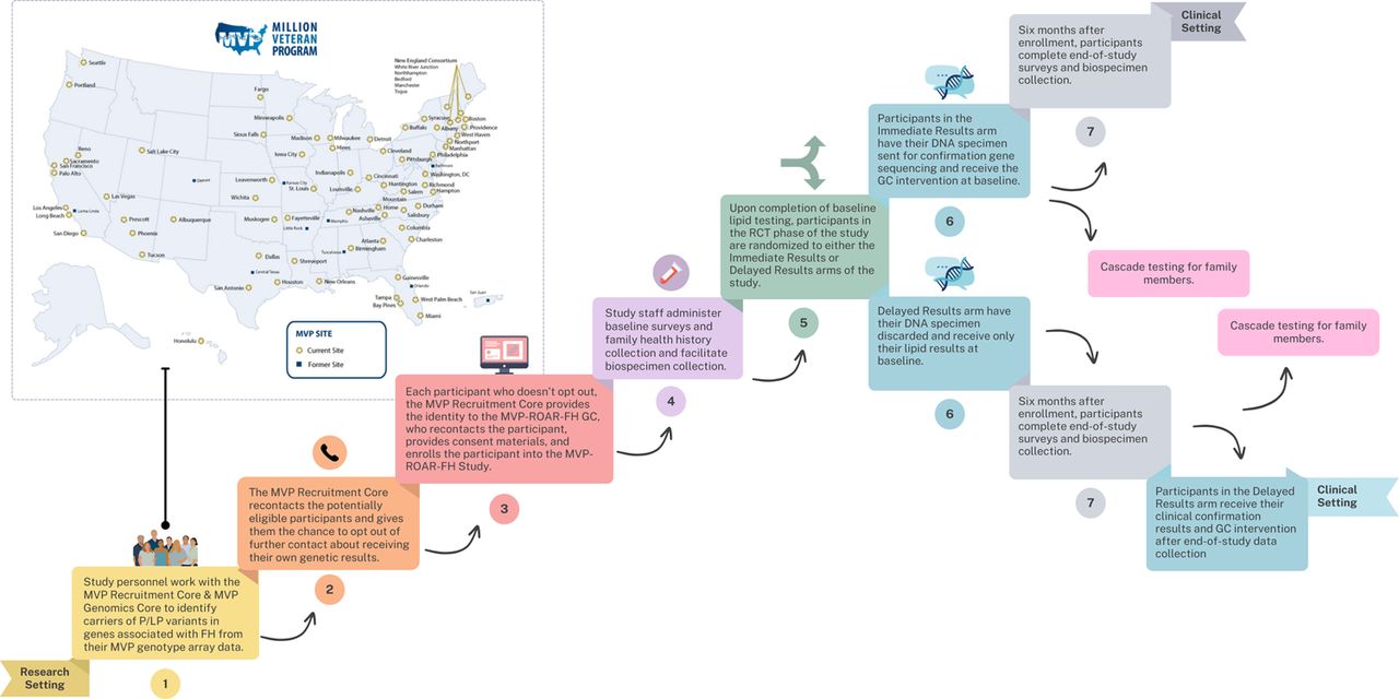 Flow diagram of study processes in the MVP-ROAR-FH Study.The MVP-ROAR-FH Study is a separate research protocol from the core MVP program. 1) Study personnel work with the MVP Recruitment Core and MVP Genomics Core to identify carriers of pathogenic/likely pathogenic variants in genes associated with FH from their MVP genotype array data. 2) The MVP Recruitment Core recontacts the potentially eligible participants and gives them the chance to opt out of further contact about receiving their own genetic results. 3) For each participant not opting out of recontact, the MVP Recruitment Core provides the identity to the MVP-ROAR-FH genetic counselor, who confirms eligibility with chart review, recontacts the participant, provides informed consent materials, and enrolls the participant into the MVP-ROAR-FH Study. 4) Study staff administer baseline surveys and family health history collection and facilitate biospecimen collection. 5) Upon completion of baseline lipid testing, participants in the RCT phase of the study are randomized to either the Immediate Results or Delayed Results arms of the study. 6) Participants in the Immediate Results arm have their DNA specimen sent for confirmation gene sequencing and receive the GC intervention at baseline, while participants in the Delayed Results arm have their DNA specimen discarded and receive only their lipid results at baseline. 7) Six months after enrollment, participants complete end-of-study surveys and biospecimen collection, including a DNA specimen for participants in the Delayed Results arm. Participants in the Delayed Results arm receive their clinical confirmation results and GC intervention after end-of-study data collection. All participants in the pilot phase of the MVP-ROAR-FH Study receive the GC intervention at baseline. Abbreviations: FH, familial hypercholesterolemia; GC, genetic counselor; MVP-ROAR-FH, Million Veteran Program Return of Actionable Results Familial Hypercholesterolemia; PCP, primary care provider; RCT, randomized clinical trial.
