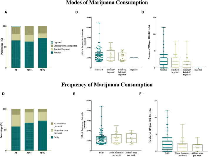 Smoking and daily consumption of marijuana associate with increased genotoxicity. (A) Proportion of users reporting different modes of marijuana consumption. “Smoked” is the most popular mode of consumption across groups. (B) The median fluorescence intensity (FI) of γH2AX is increased in peripheral blood lymphocytes from users that reported “smoked” as their mode of marijuana consumption. (C) The number of MNs is increased in users who reported “smoked” as the only mode of marijuana use. (D) Proportion of users reporting their frequency of marijuana consumption. “Daily” consumption is the most common among users. (E) The median fluorescence intensity (FI) of γH2AX is increased in peripheral blood lymphocytes from users that reported “daily” as their frequency of use. (F) The frequency of MN tends to increase when the frequency of marijuana use increases.