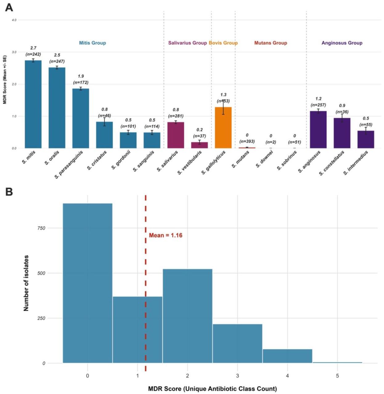 Multidrug resistance score across oral streptococci groups included in the study. (A) Antimicrobial resistance score of streptococcal species groups. Each bar shows the mean MDR scores, representing the count of unique antibiotic classes to which a species is resistant to for individual species. Error bars indicate the standard error of the mean. Number of genomes for each species are listed above each bar. (B) Distribution of multidrug resistance scores among all oral streptococcal genomes. The histogram shows the frequency of MDR scores across the total population of isolates studied. The scores range from 0 to 5 unique antibiotic classes, with a calculated overall mean MDR score.