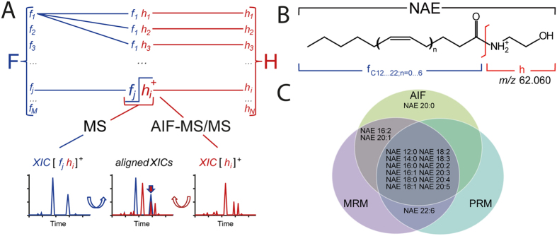 Design and validation of the lipid discovery workflow.(A) AIF LC-MS/MS screen for molecules consisting of a polar head group H and fatty acid moiety F. A putative compound fjhi is identified if XIC peaks of its precursor ion [fjhi]+ (in blue) and fragment [hi]+ spectra (in red) align (two-colour arrow). (B) Molecular ion and the head group fragment of N-acylethanolamines (NAE). (C) Venn diagram of endogenous NAE independently identified by all-ions fragmentation (AIF) and parallel reaction monitoring (PRM) on a Q Exactive and by multiple reaction monitoring (MRM) on a triple quadrupole mass spectrometer.