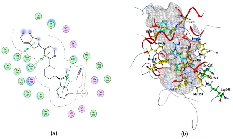 Best binding pose of QK5 within rFAAH, obtained through MOE analysis. (a) In the 2D structure the following details are shown: Pi–H interactions, in green; backbone acceptor, in blue; solvent contact, in yellow. (b) In the 3D structure the following elements are shown as sticks: QK5, in cyan; catalytic triad, in green; all residues involved in the protein/ligand interaction, in yellow.