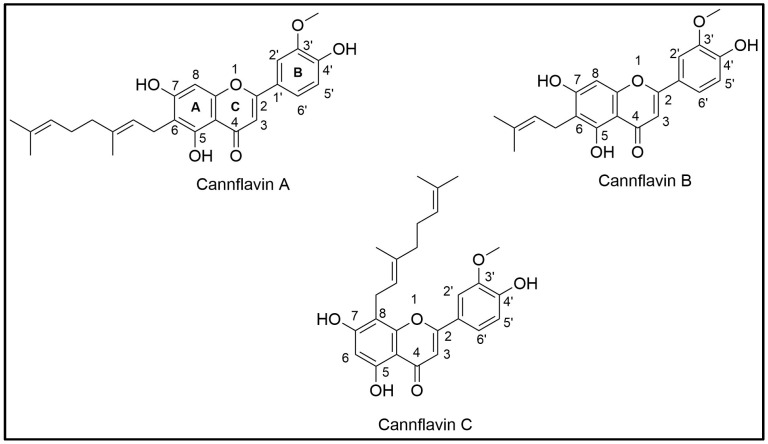 Chemical structures of cannflavins A, B, and C (CF-A, CF-B, and CF-C).