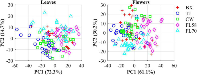 Scatter plots in the space spanned by the first two principal components (PCs) for five cultivars of hemp flowers and leaves 4 weeks after flower initiation (Figure 6). The percentage value in parentheses indicates the variance portion explained by the corresponding PC.