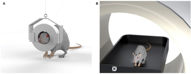 Sketches of two systems designed to eliminate the need for anesthesia in rodent studies. (A) The RatCAP tomograph (rat conscious animal PET) consisting of a miniaturized full-ring PET scanner which is attached directly to the head, covering nearly the entire brain; (B) The open-field PET system, based on a commercial preclinical scanner, enables brain scans of rodents in motion due to an optical motion tracking and a custom designed motion-adaptive animal enclosure attached to a robotic arm.