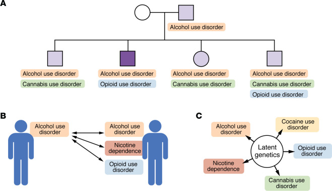 Early evidence for a generalized genetic liability to SUDs (SUD-g) arose from genetic epidemiological studies examining the coaggregation of various SUDs in related individuals.(A) Family studies found that relatives of a proband (dark purple; i.e., an index individual with a SUD) were at heightened risk for multiple SUDs. The degree of coaggregation varied by the degree of genetic relatedness; i.e., first-degree relatives such as siblings were most likely to have other SUDs. (B) Within twin pairs, including genetically identical monozygotic twins, there was evidence for cross-substance genetic correlations (e.g., one twin’s alcohol use disorder was associated with the other twin’s alcohol, tobacco, and opioid use disorders). (C) These family studies and across-SUD twin correlations led to the identification of a latent genetic factor underlying these SUDs.
