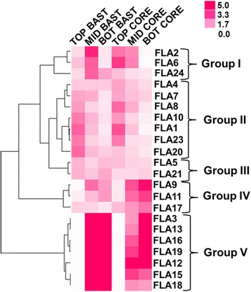 Expression profiles of CsaFLAs in hemp stems. Hierarchical clustering of expression profiles of 22 CsaFLAs in the three regions of stem. Data in the form of bar graph are shown in Additional file 8: Figure S4