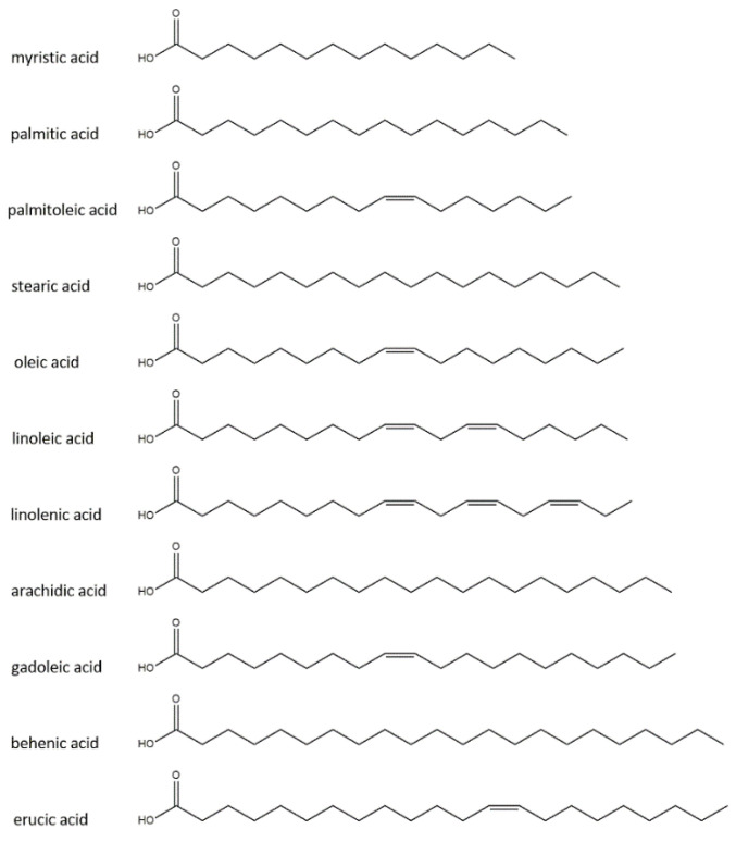 Chemical structure of fatty acids presents in the oils used.