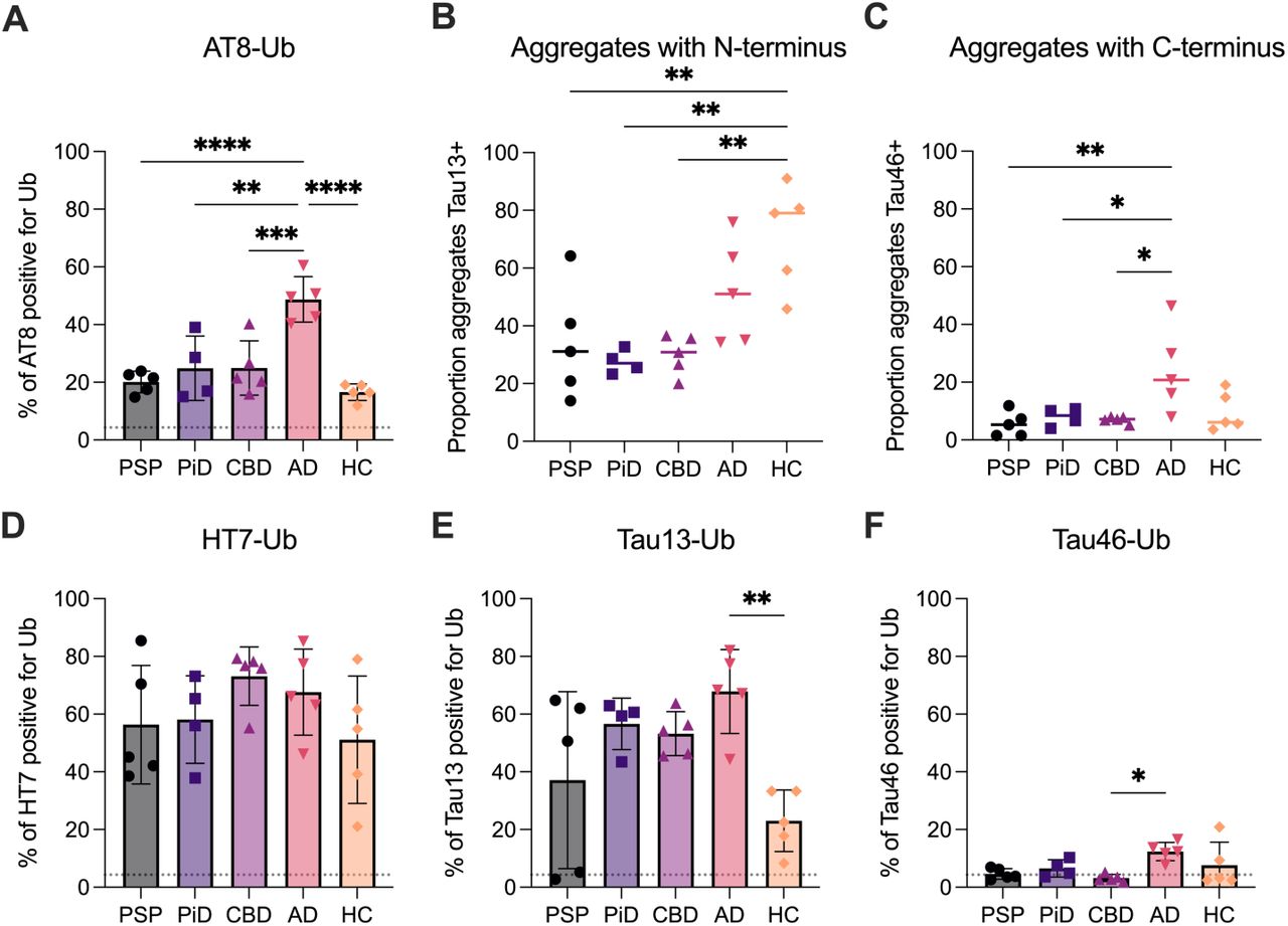 Disease-specific patterns of tau ubiquitination and truncation. (A) Proportion of AT8-positive tau aggregates co-labelled with ubiquitin determined by two-colour single-molecule imaging. (B–C) Proportion of tau aggregates retaining the (B) N-terminal epitope (Tau13) and (C) C-terminal epitope (Tau46), normalised to total tau aggregate levels (HT7), determined through Simoa. (D–F) Proportion of (D) HT7-, (E) Tau13-, and (F) Tau46-positive tau aggregates with ubiquitin, determined by two-colour single-molecule imaging. Dotted line represents the by chance co-localisation. Each data point represents one individual (n = 4 for PiD, n = 5 for other disease groups); bars mean ± SD. Statistical comparisons were performed using one-way ANOVA with Tukey’s post hoc test; *p < 0.05, **p < 0.01, ***p < 0.001, **** p < 0.0001.