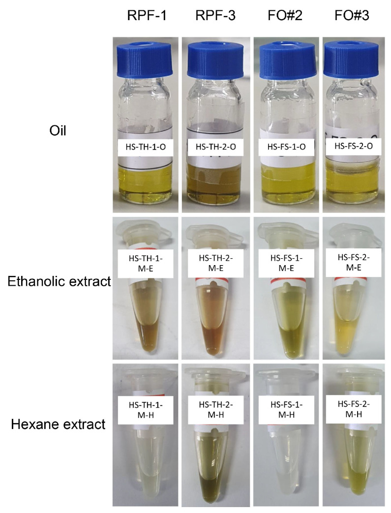 Oils and extracts of hemp (Cannabis sativa L.) seed from Thai samples (RPF-1 and RPF-3) and foreign samples (FO#2 and FO#3).