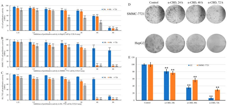 Effect of α-CBD on hepatoma carcinoma cell lines. (A) Viability of HepG2 cells after α-CBD treatment, (B) viability of SMMC-7721 cells after α-CBD treatment, and (C) viability of HL-7702 cells after α-CBD treatment. The survival rate of HepG2 and SMMC-7721 cells after treatment with α-CBD (D,E) determined by the colony formation assay (n = 5; * p < 0.05,** p < 0.01).