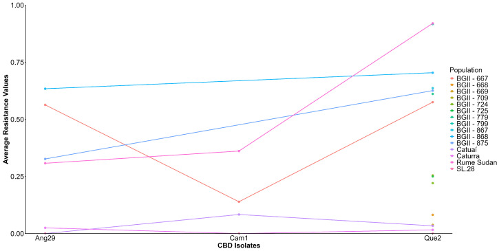 Graphical representation of the G × I interaction of the Rume Sudan × Catuaí population and the isolates Ang29, Cam1, and Que2. X-axis: Isolates of C. kahawae; Y-axis: Average resistance of C. arabica populations.