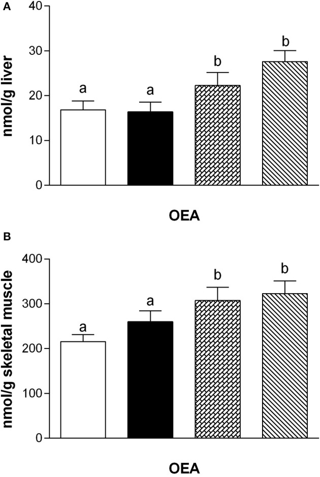 Tissue levels of oleylethanolamide (OEA). The graphs show the liver (A) and skeletal muscle (B) levels of OEA. Data are presented as means ± SEM from n = 7 animals/group. Labeled means without a common letter differ (P < 0.05).