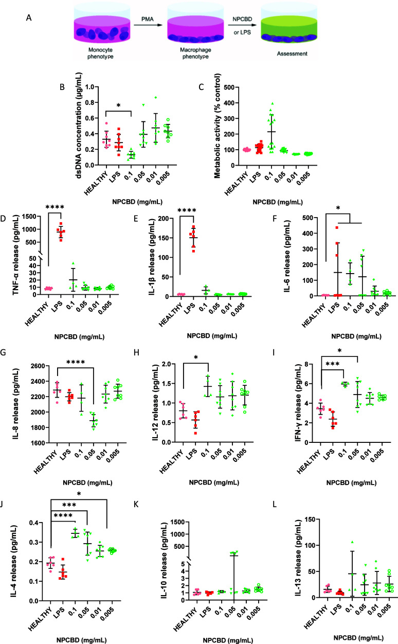 NPCBD treatment for 3 days did not induce significant changes in the THP-1 inflammatory state. (A) Experimental workflow of in THP-1 in vitro model. (B) dsDNA concentration was determined by Picogreen analysis, and (C) metabolic activity of the culture was determined by alamarBlue after 3 days of treatment with NPCBD. Determination of the release of pro-inflammatory (D–I) and anti-inflammatory (J–K) cytokines from the THP-1 cells after 3 days of treatment with NPCBD at four doses (mg/mL). Cytokine concentration released to the supernatant was analyzed by multiplex ELISA. Data are represented as mean ± SEM, N ≥ 4 experimental replicates. *p < 0.05, **p < 0.01, ***p < 0.001 vs Healthy cells. One-way ANOVA followed by Tukey’s posthoc test.