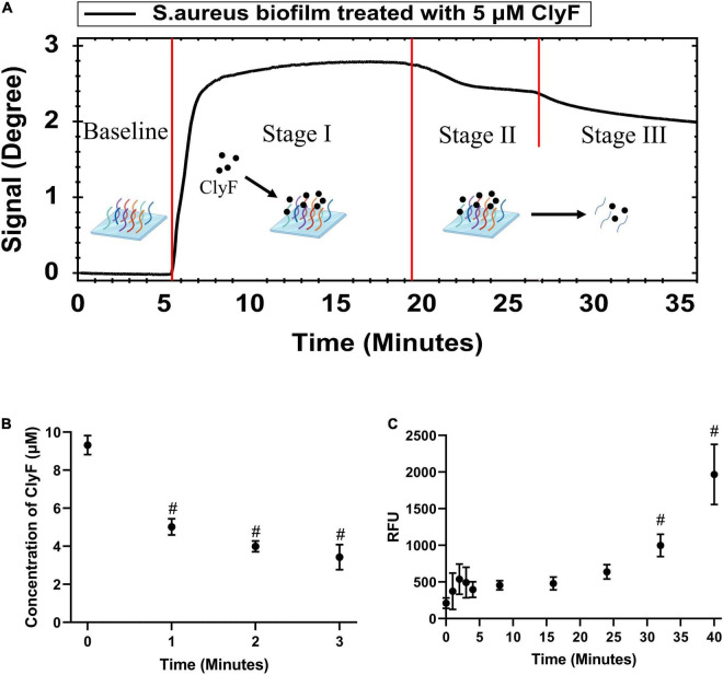 Real-time monitoring and confirmation of cultured-on-chip S. aureus biofilm interactions with lysin ClyF. (A) Representative SPR sensorgram illustrating changes in Peakmin Angle after lysin injection. (B) Monitoring the absorption process by detection of free ClyF concentration. (C) Monitoring the biofilm destruction process based on released ATP by ATP detection. # denotes p < 0.05.