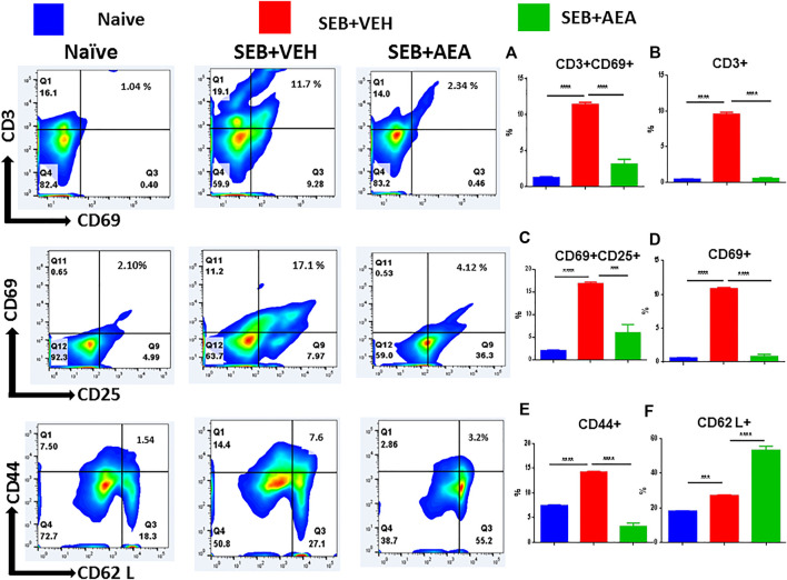 AEA suppresses T cell activation markers in splenocytes activated with SEB. The spleen cells were pretreated with AEA and then activated with SEB in vitro for 48 h as described in Figure 3 legend. The cells were stained for various activation markers. Each panel shows a representative experiment using flow cytometry, and the vertical bars depict percentage data from groups of five mice with Mean+/-SEM. (A) CD3+CD69 + cells, (B) CD3+ cells, (C) CD69 + 25+ cells, (D) CD69 + cells, (E) CD44 + cells, (F) CD62L + cells. *p ≤ 0. 05, **p ≤ 0. 01, ***p ≤ 0. 001.