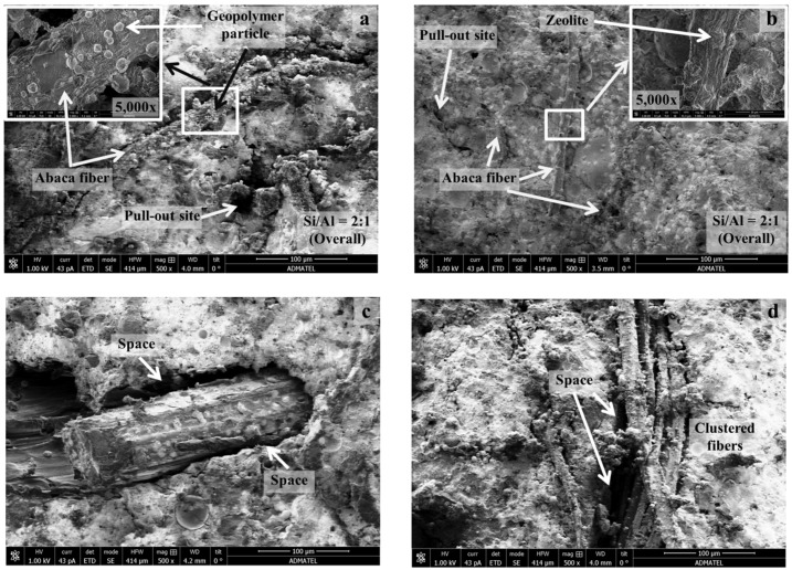 SEM images of composite fractured surfaces: (a) reinforced with untreated abaca; (b) reinforced with treated abaca; (c) interface between untreated abaca fiber and geopolymer matrix and (d) interface between treated abaca fiber and geopolymer matrix.
