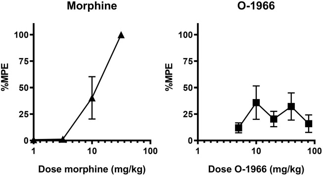 Effect of morphine and O-1966 alone on antinociception as measured by withdrawal latency on a 54°C hotplate. X-axis: Cumulative dose of morphine (A), or O-1966 (B) in mg/kg. Y-axis: antinociception as percent maximum possible effect. Each data point represents the mean (±S.E.M.) from eight mice.