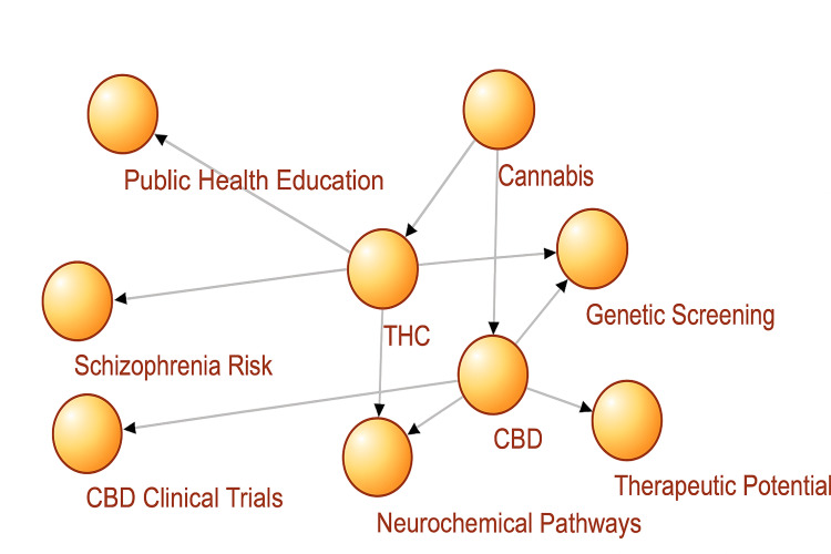 Biopsychosocial model linking cannabis to schizophrenia risk and therapeutic pathwaysCBD: Cannabidiol; THC: Tetrahydrocannabinol.Image created by the authors on Microsoft Powerpoint (Microsoft Corp., Redmond, WA, US) [27,28]