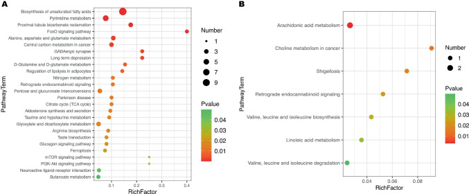 Bubble charts of KEGG pathways of DMs between mOSA and sOSA by GC–MS and LC–MS. Pathway analysis indicates biosynthesis of unsaturated fatty acids and FoxO signaling pathway are the most statistically enriched pathway from GC–MS (A). Arachidonic acid metabolism and choline metabolism in cancer are the most prominent pathways from LC–MS (B). Markedly, retrograde endocannabinoid signaling is the exclusive common pathway out of both GC–MS and LC–MS