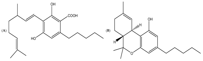 Chemical structure of the most common cannabinoids includes (A) Cannabigerolic acid (CBGA); (B) Delta-9-tetrahydrocannabinol (Δ9-THC); (C) Cannabidiol (CBD); (D) Cannabigerol (CBG); (E) Cannabinol (CBN); (F) Cannabichromene (CBC); (G) Cannabidiolic acid (CBDA); and (H) Tetrahydrocannabinolic acid A (THCA-A).